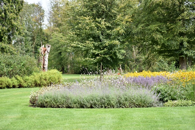 Sun, Style, and Sustainability: Landscaping Ideas That Wow This California Summer
