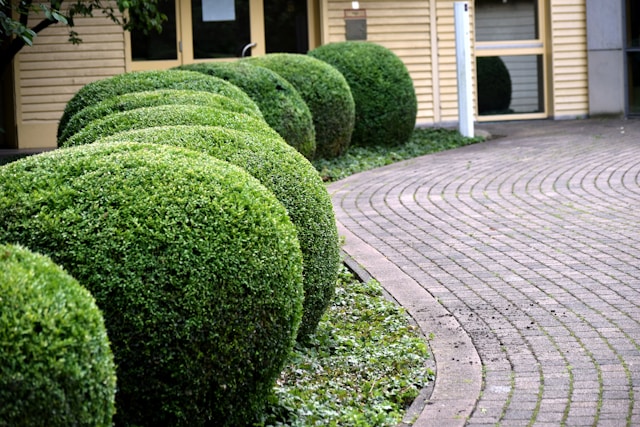 Smart Landscaping for Healthier Homes: Eco-Friendly Tips for Driveways and Yards